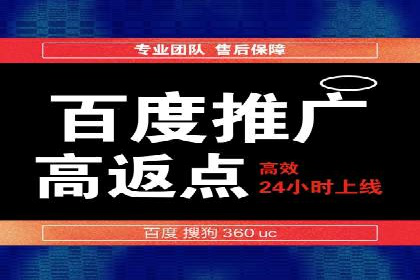 竞价推广公司的策略布局：某行业领导品牌的成功案例